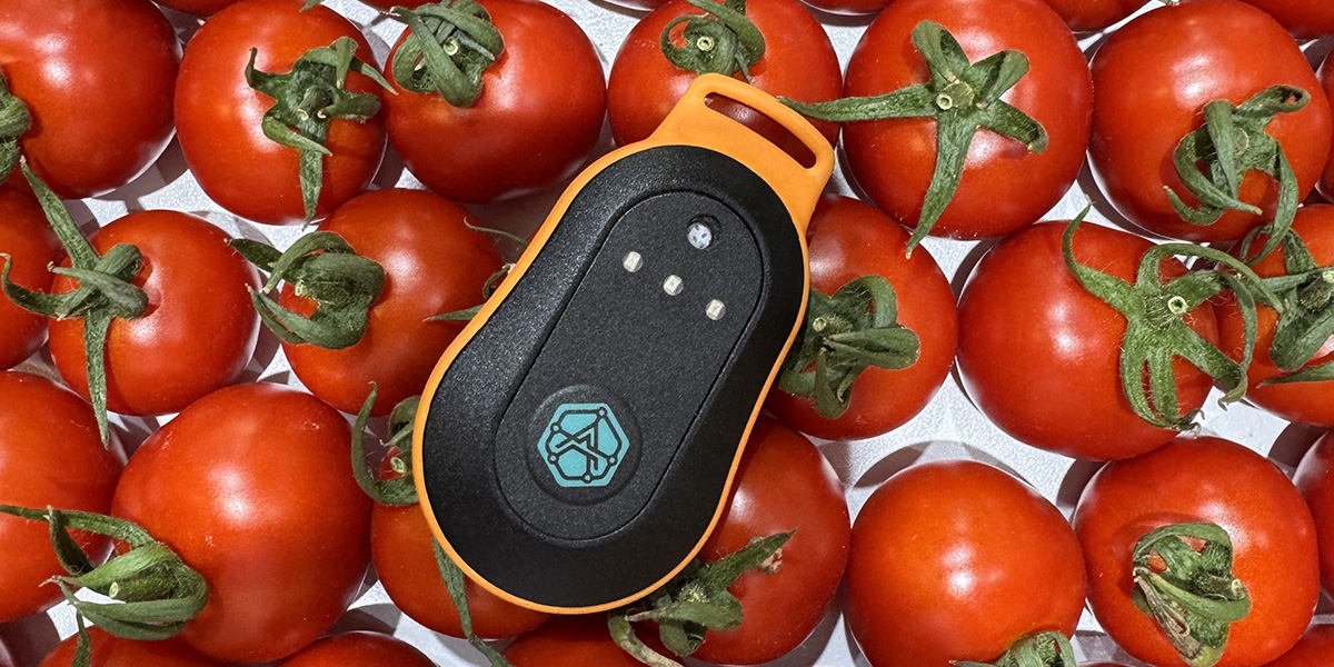 L’intelligenza artificiale entra in campo con un sensore nasale digitale